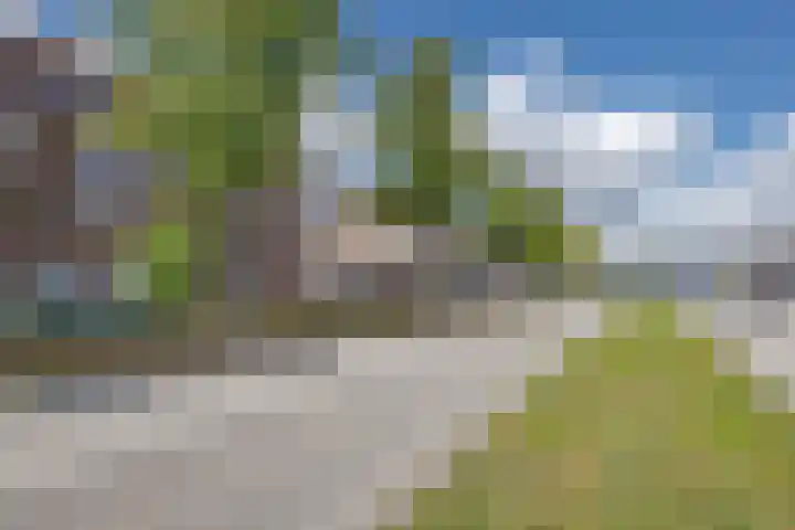 Dorpsweg 61 B 01 Rotterdam thumbnail 29