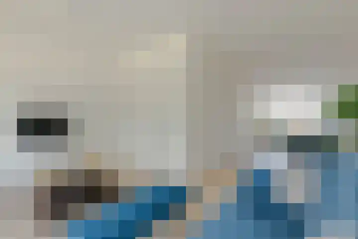 Dorpsweg 61 B 01 Rotterdam thumbnail 8