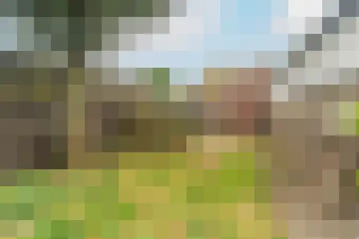 Dorpsweg 64 a Zijderveld thumbnail 28