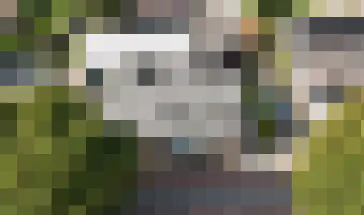 Dorpsweg 64 a Zijderveld thumbnail 31