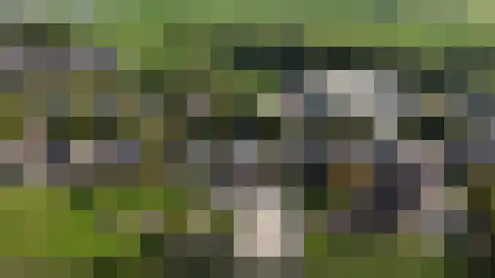 Dorpsweg 64 a Zijderveld thumbnail 32