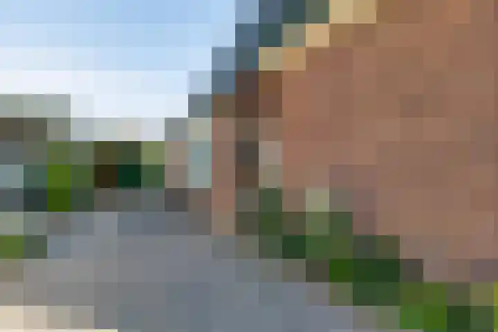 Dorpsweg 65 Spankeren thumbnail 28