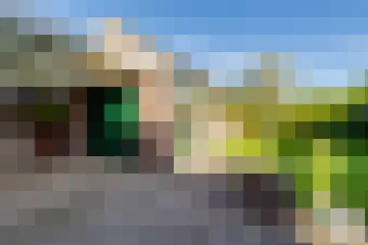 Dorpsweg 65 Spankeren thumbnail 31
