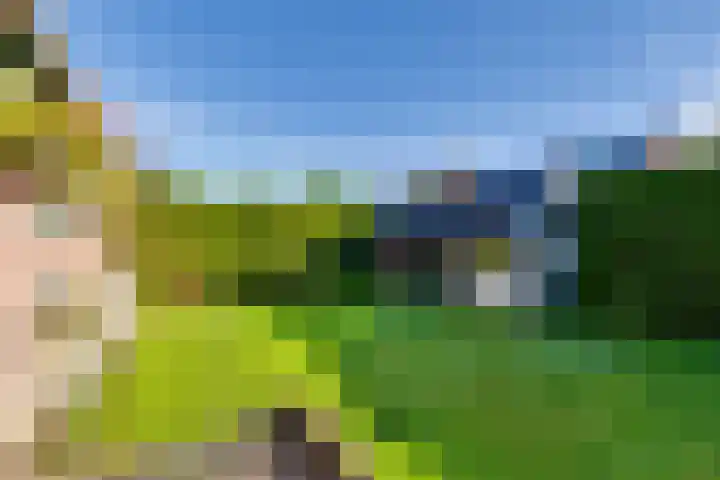Dorpsweg 65 Spankeren thumbnail 33