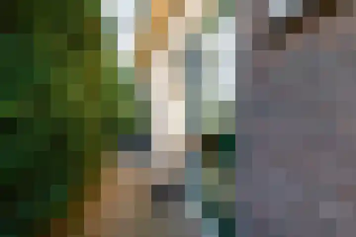 Dorpsweg 65 Spankeren thumbnail 36