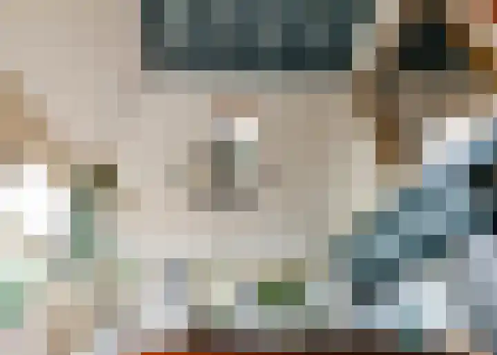 Dorpsweg 67 B Hensbroek thumbnail 12
