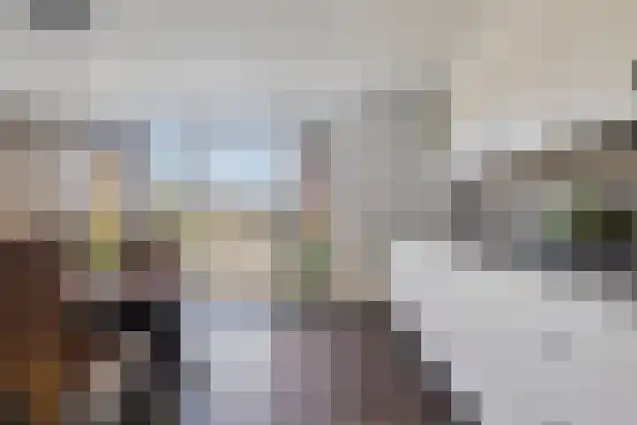 Dorpsweg 68 De Heen thumbnail 10