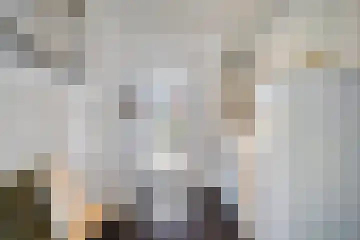 Dorpsweg 68 De Heen thumbnail 12