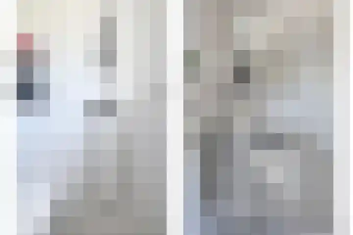 Dorpsweg 68 De Heen thumbnail 14