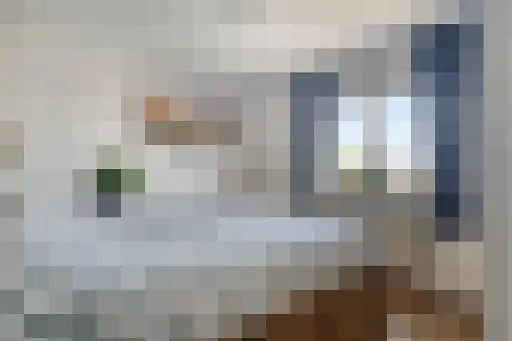 Dorpsweg 68 De Heen thumbnail 15