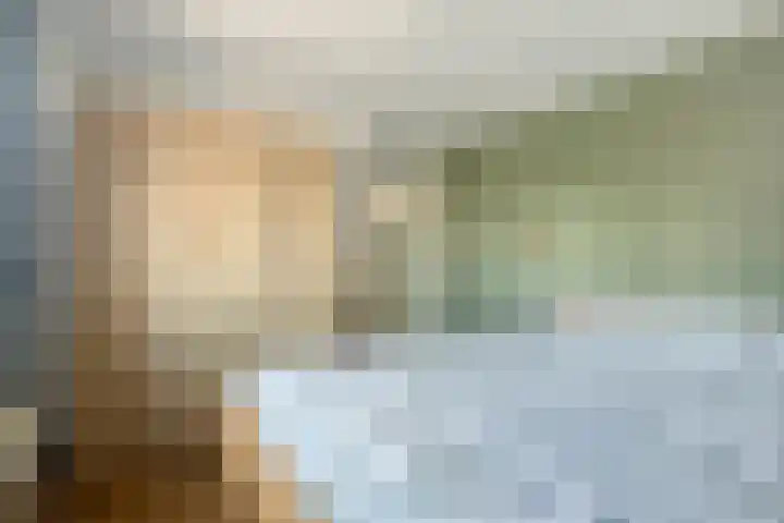 Dorpsweg 68 De Heen thumbnail 16