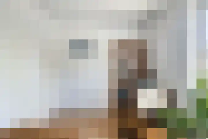 Dorpsweg 68 De Heen thumbnail 18