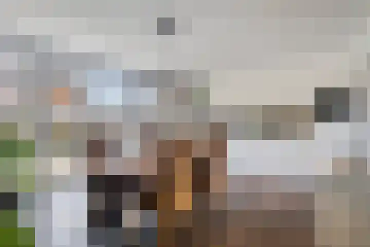 Dorpsweg 68 De Heen thumbnail 7