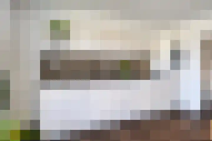 Dorpsweg 68 De Heen thumbnail 9