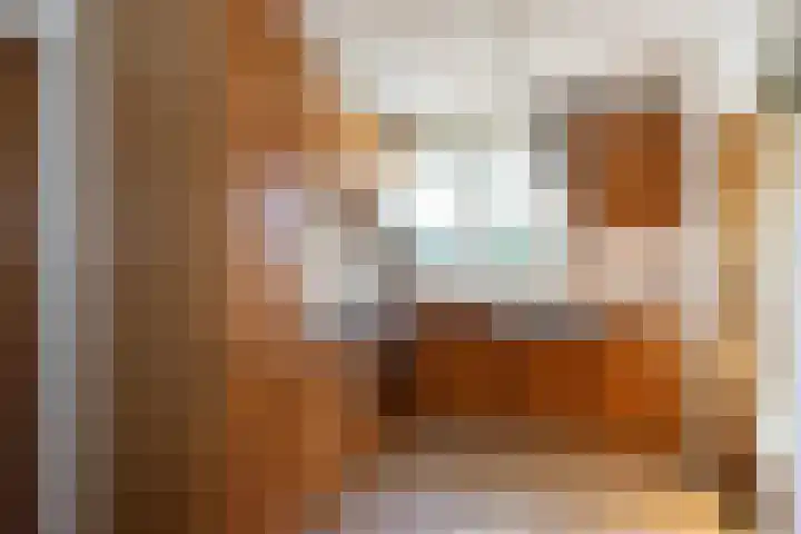 Dorpsweg 68 I Hoornaar thumbnail 12