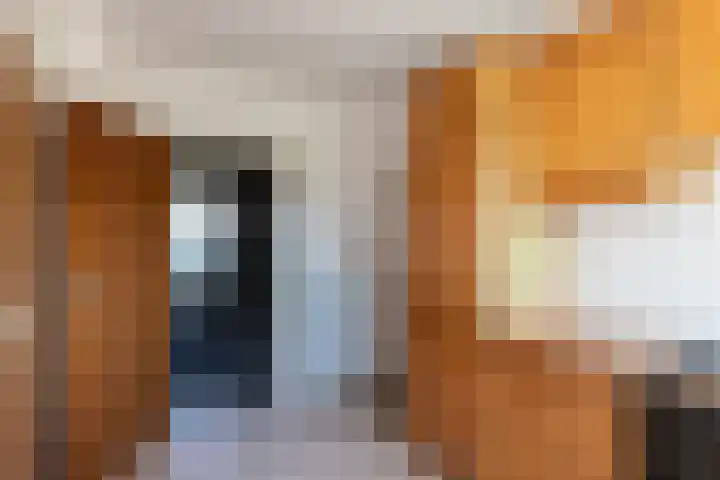 Dorpsweg 68 I Hoornaar thumbnail 13