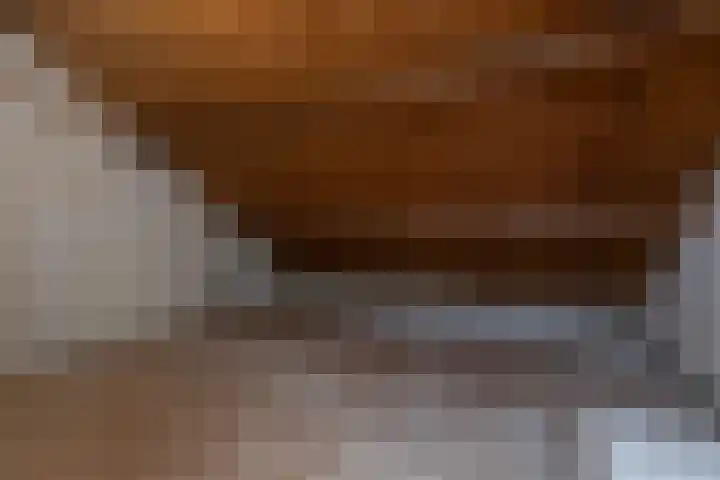 Dorpsweg 68 I Hoornaar thumbnail 22