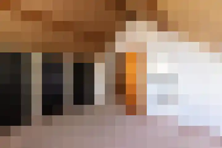 Dorpsweg 68 I Hoornaar thumbnail 26
