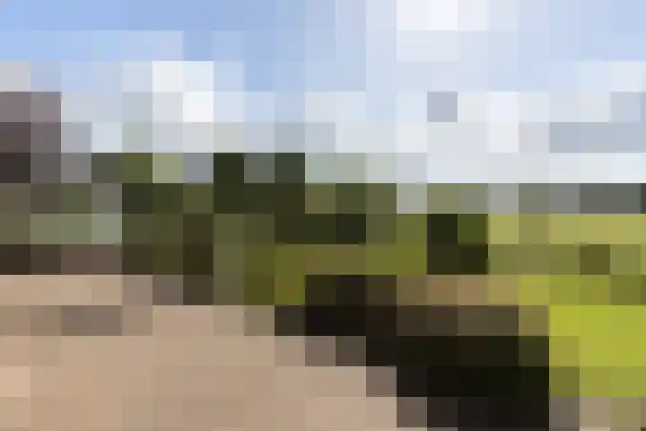 Dorpsweg 68 I Hoornaar thumbnail 27