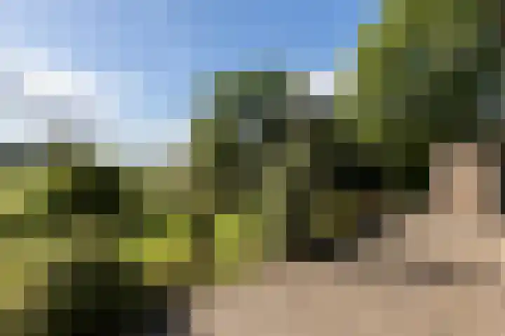 Dorpsweg 68 I Hoornaar thumbnail 28