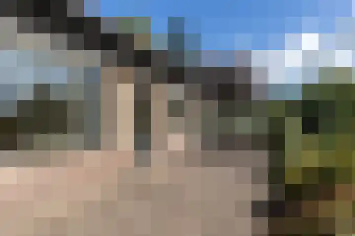 Dorpsweg 68 I Hoornaar thumbnail 29
