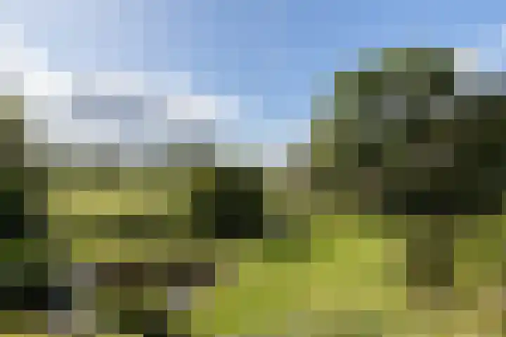 Dorpsweg 68 I Hoornaar thumbnail 30