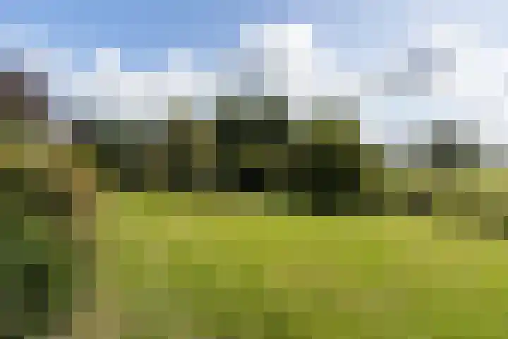Dorpsweg 68 I Hoornaar thumbnail 31