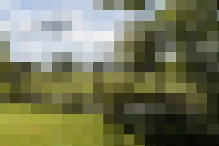 Dorpsweg 68 I Hoornaar thumbnail 32