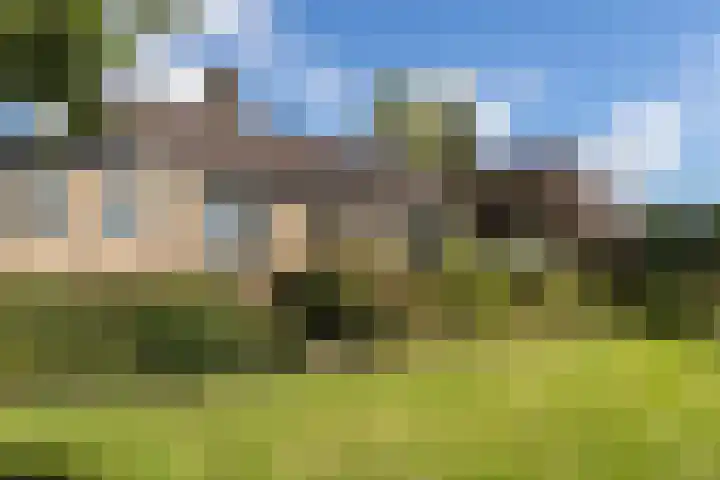 Dorpsweg 68 I Hoornaar thumbnail 33
