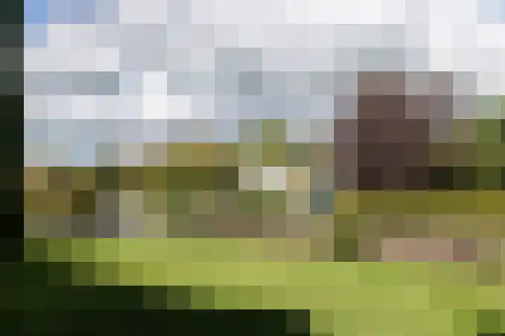 Dorpsweg 68 I Hoornaar thumbnail 36