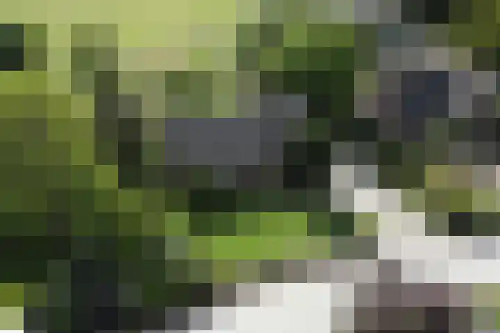 Dorpsweg 68 I Hoornaar thumbnail 37