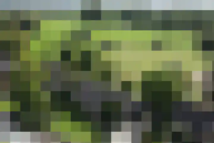 Dorpsweg 68 I Hoornaar thumbnail 38
