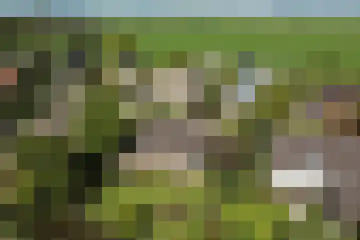 Dorpsweg 68 I Hoornaar thumbnail 4