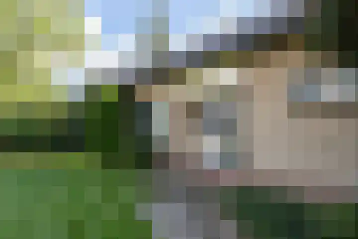 Dorpsweg 68 I Hoornaar thumbnail 6