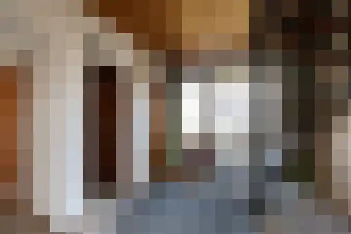Dorpsweg 68 I Hoornaar thumbnail 7