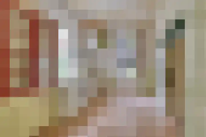 Dorpsweg 68 Schellinkhout thumbnail 13