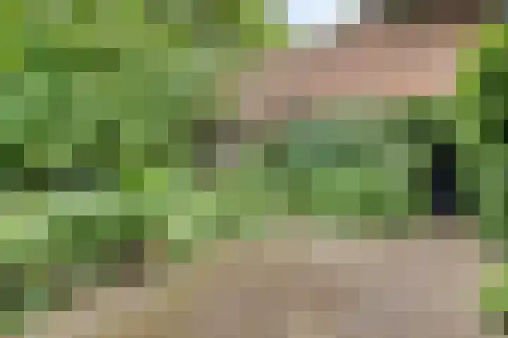Dorpsweg 68 Schellinkhout thumbnail 27