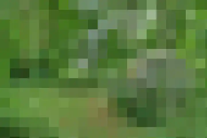 Dorpsweg 68 Schellinkhout thumbnail 30