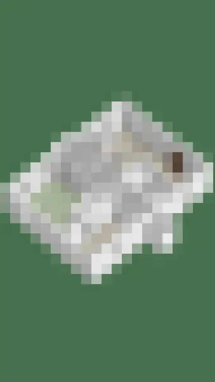 Dorpsweg 68 Schellinkhout thumbnail 40