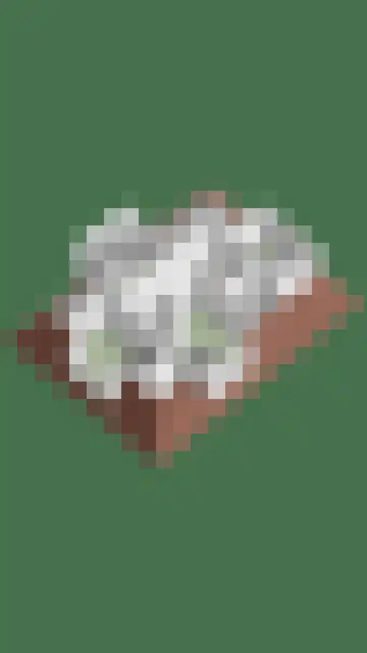 Dorpsweg 68 Schellinkhout thumbnail 42