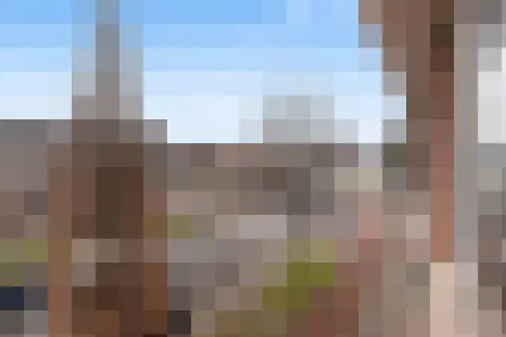 Dorpsweg 7 C Rotterdam thumbnail 15