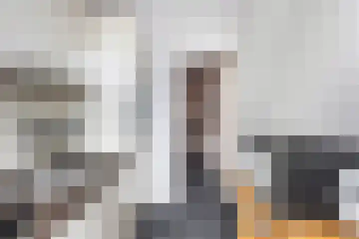 Dorpsweg 7 C Rotterdam thumbnail 24