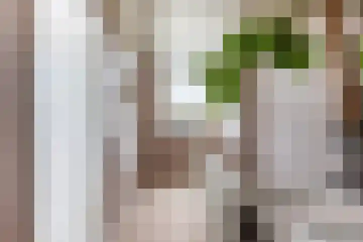 Dorpsweg 7 C Rotterdam thumbnail 25