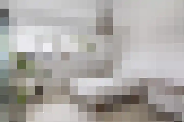 Dorpsweg 7 C Rotterdam thumbnail 27