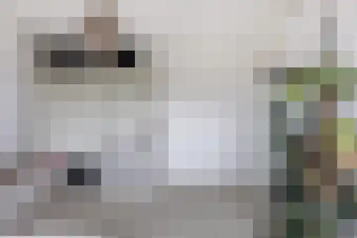 Dorpsweg 7 C Rotterdam thumbnail 28