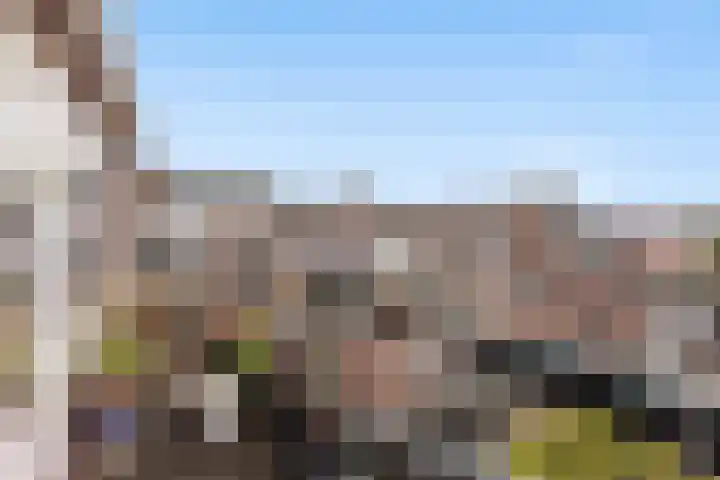 Dorpsweg 7 C Rotterdam thumbnail 36