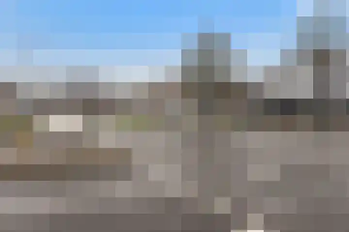Dorpsweg 7 C Rotterdam thumbnail 40