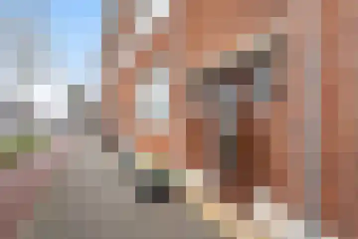 Dorpsweg 7 C Rotterdam thumbnail 7