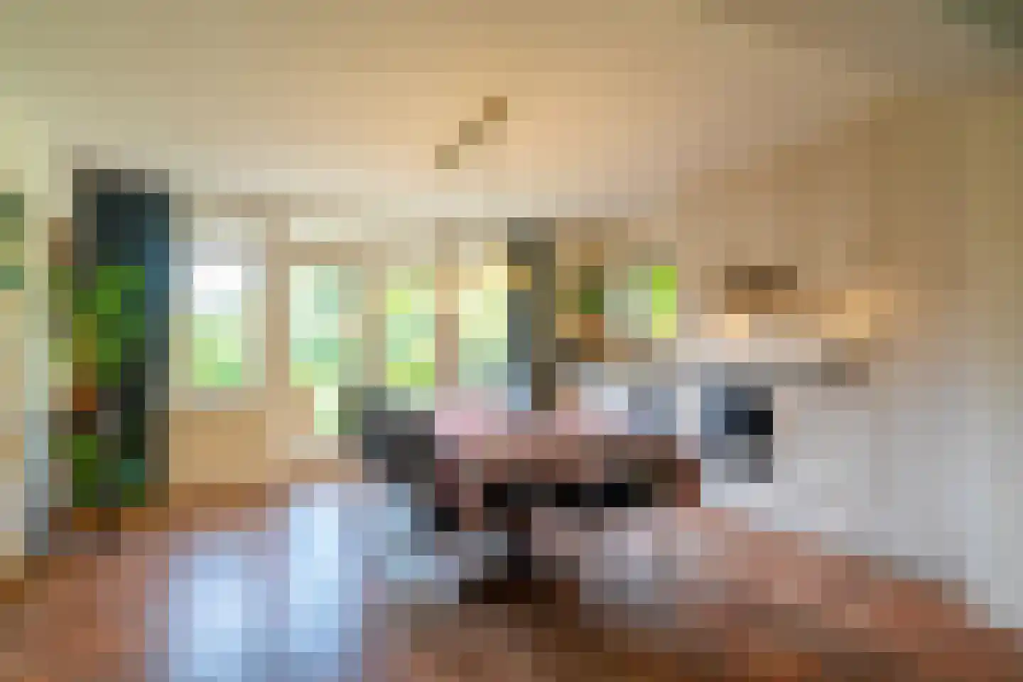 Dorpsweg 7 Onnen thumbnail 41