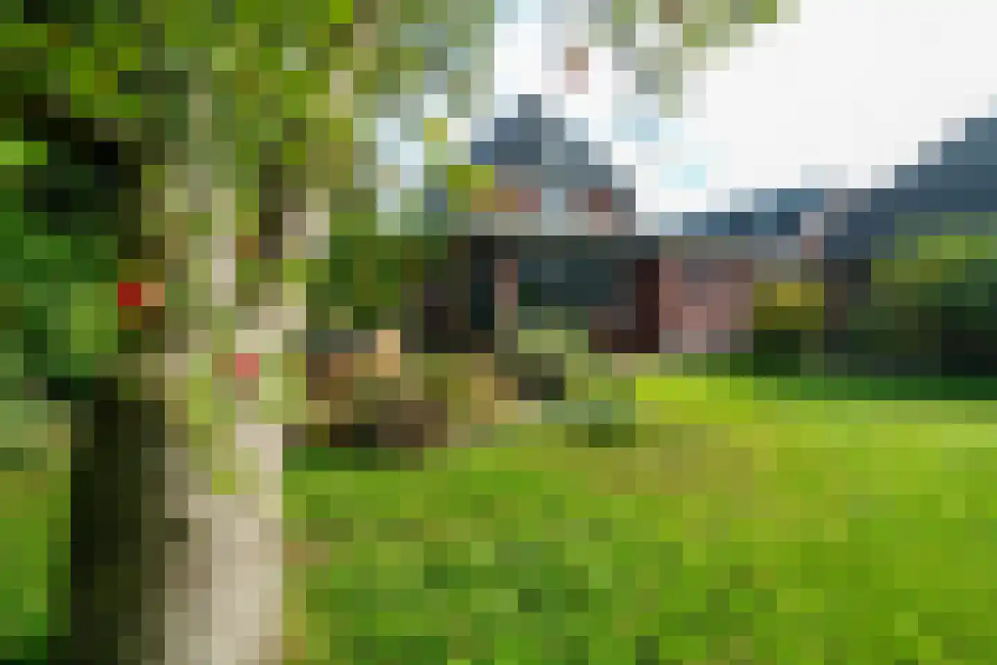 Dorpsweg 7 Onnen thumbnail 77